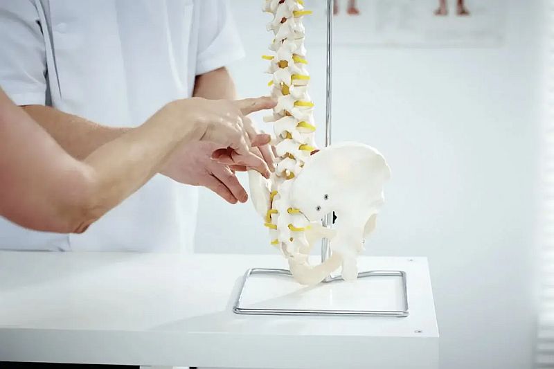 Функции паратгормона в организме человека